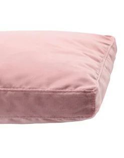 Best Cuscino Cuscini