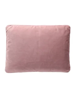 Best Cuscino Cuscini