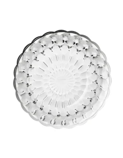 Best Jelly Vasi E Maxi Vasi