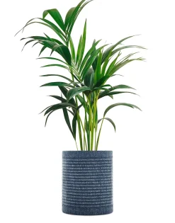 Sale Kleo coprivaso Vasi E Maxi Vasi