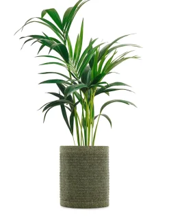 Clearance Kleo coprivaso Vasi E Maxi Vasi