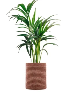 Outlet Kleo coprivaso Vasi E Maxi Vasi