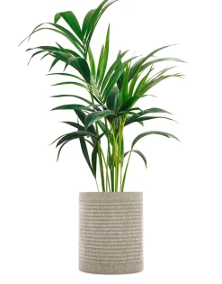 Best Kleo coprivaso Vasi E Maxi Vasi