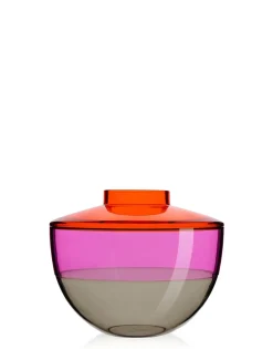 Online Shibuya Vasi E Maxi Vasi